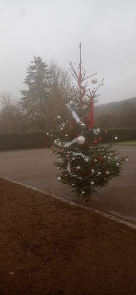 sapin  noel