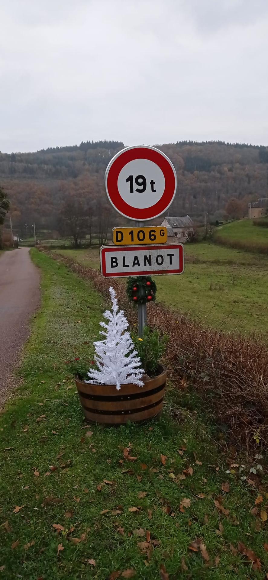 sapin noel