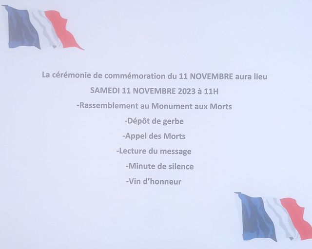 11 NOVEMBRE
